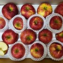 속리농원 이미지