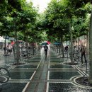 보행자전용도로 이미지