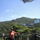 관악산 무장애숲길 이미지