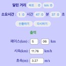 하프 마라톤 대회 도전 후기! 최악의 국제국민마라톤 체험기