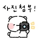 제니스크리닝 이미지
