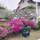 드림레이크펜션 네이버블로그