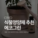 에코환경 | 친환경 식물영양제 에코그린, 식집사 필수템 솔직후기