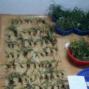 흥덕농장 이미지