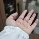 대전도안실내테니스장