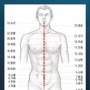 청암약국 | 남자 전립선염 증상 및 치료~ 한약 치료 원리(原理)