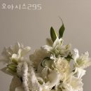 오아시스295 - 마포구 동교로 272-7 | 오아시스295