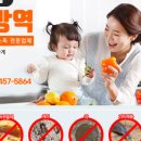 싹잡아방역