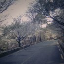 빼빼만덕 이미지