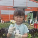 국현농장 이미지