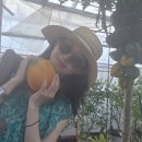 이영애농장 이미지