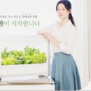 정상태농장 | 웰스팜.장단점.솔직후기.가정식물재배기.동원 웰스 야채.모종.샐러드.건강식사.농장.렌탈