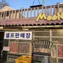 달빛 | 달빛정원 후기☆인천 애견동반 캠핑, 몸만 가도 되는 당일 캠핑장