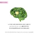 하이초등학교 이미지