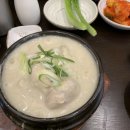 지우태권도장 | 5월 3주차 ㅣ 리트의 주간일기 ep.16_ [목포쫀디기, 건강검진, 노티드 삼성, 안산 매화당, 에버랜드]