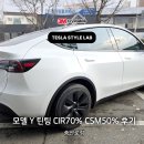 송산로 | 모델Y 썬팅 CIR 70%, CSM50% 시공 후기 테슬라스타일랩 일산 송산로점