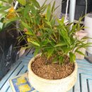 계동농장 이미지