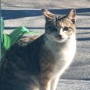 성산구 ⓒ-16 이미지