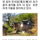 삼지재 이미지
