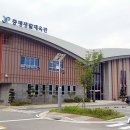 세종태양체육관 이미지