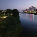 계백로(유등교-서대전네거리) 이미지