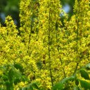 실버넷중부 이미지