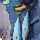 덕신농장 이미지