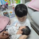 남양농장 | 남양 산후도우미 경기남부산후관리센터 이모님 완전 추천!!