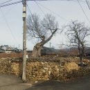 읍내리 마을회관 이미지