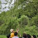 배곧 품 태권도장 이미지