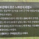 동의주열 네이버블로그