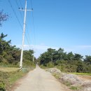 환성 태양광발전소 이미지