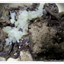 전과함께 이미지