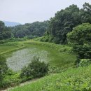 장곡2 Daum카페