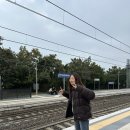 유럽 Day 8 | 이탈리아 시르미오네 > 스위스 기차 후기 | 스위스 마트 미그로스 후기