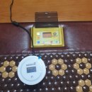 굿모닝의료기 이미지