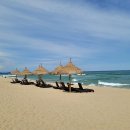 지오 파인트리 이미지