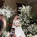 고센플라워부띠크 | Wedding.5 :: 판교w스퀘어 채플홀 본식후기 🤍