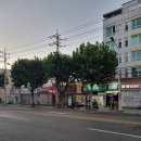 원대오거리 침산1동 네이버블로그