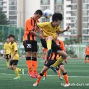 용인(강릉) 이미지