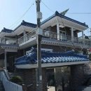 사파동101 이미지