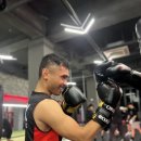 언더독 복싱 이미지