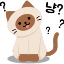 엔제리너스야탑역점