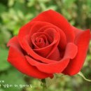 행복한하루 - 태안군 가경주길 4 | 행복한하루