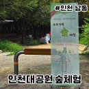 숲 | 인천대공원 가족 숲체험 목공 체험 후기
