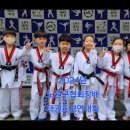 용인대 미르 태권도장 이미지