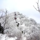 제85회 계방산 정기 산행 이미지