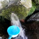 나리 신령수 이미지