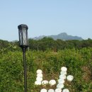 남진농장 이미지