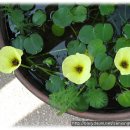 하늘가득 이미지